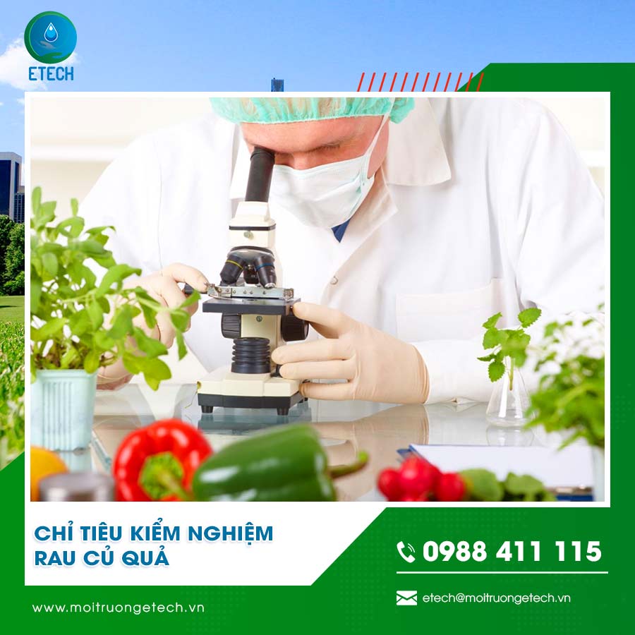 Chỉ tiêu kiểm nghiệm rau củ quả
