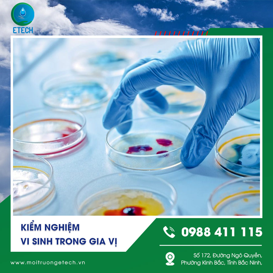 Kiểm tra vi sinh trong gia vị Kiểm tra vi sinh trong gia vị