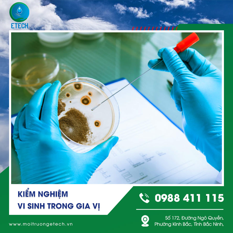 Phân tích chất lượng gia vị Phân tích chất lượng gia vị