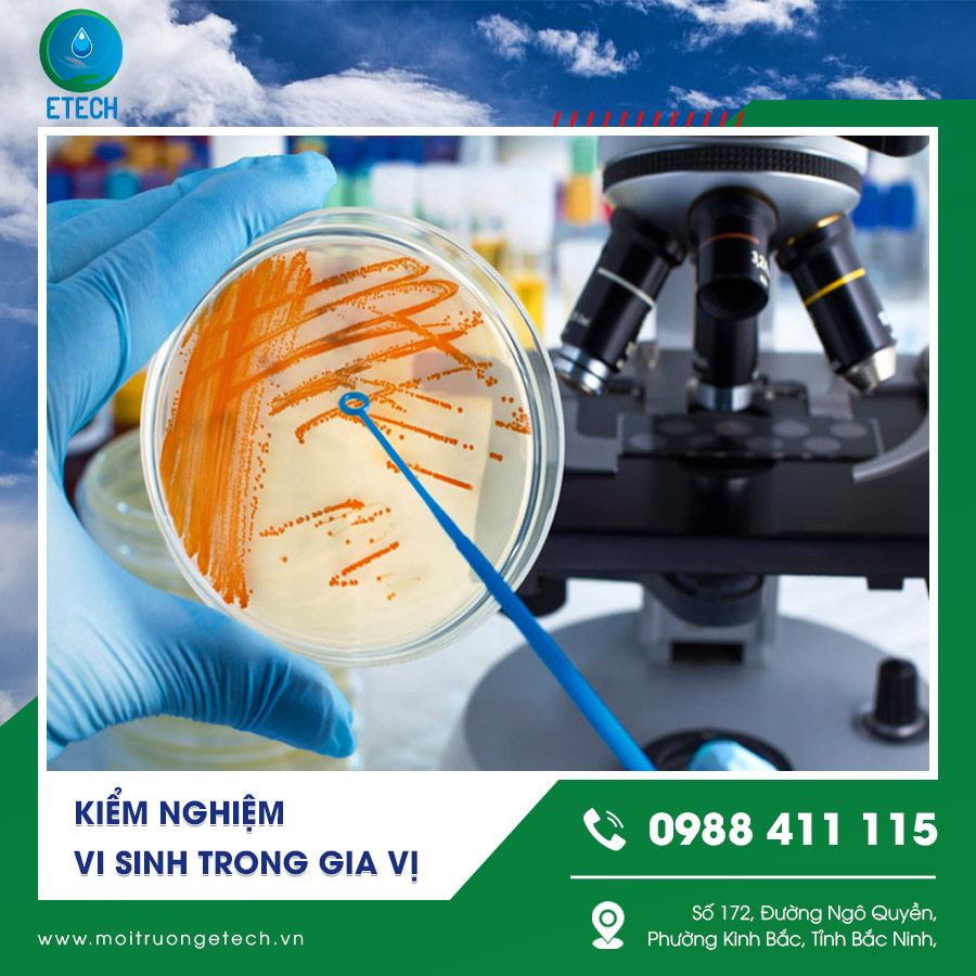 Kiểm nghiệm vi sinh trong gia vị Kiểm nghiệm vi sinh trong gia vị