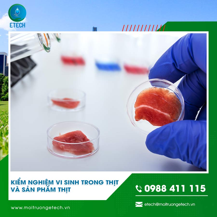 Kiểm nghiệm vi sinh trong thịt và sản phẩm thịt
