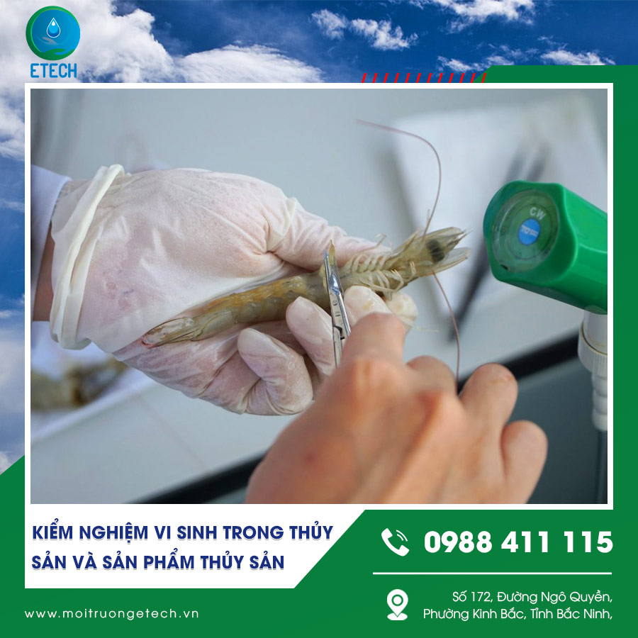 Kiểm nghiệm vi sinh trong thủy sản và sản phẩm thủy sản Kiểm nghiệm vi sinh trong thủy sản và sản phẩm thủy sản